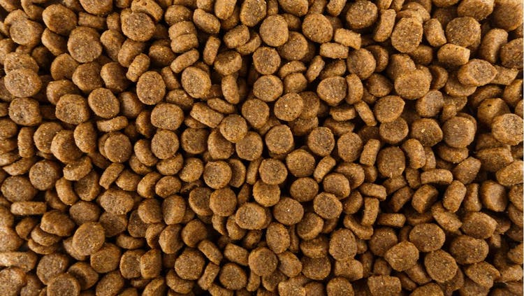 A full-screen shot of dry dog food.