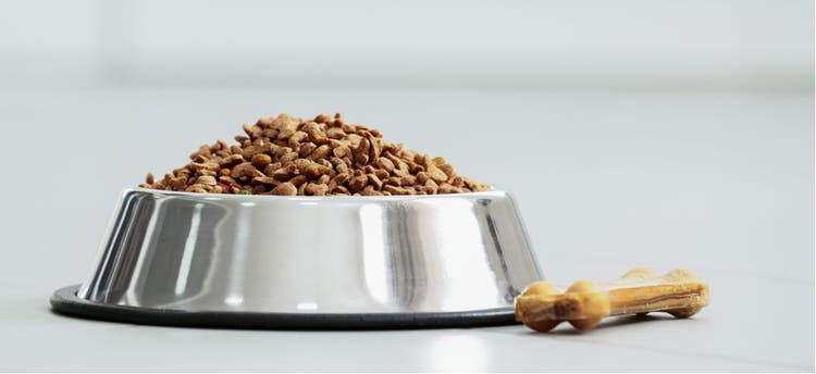 Dog food in a metal bowl and a dog bone.