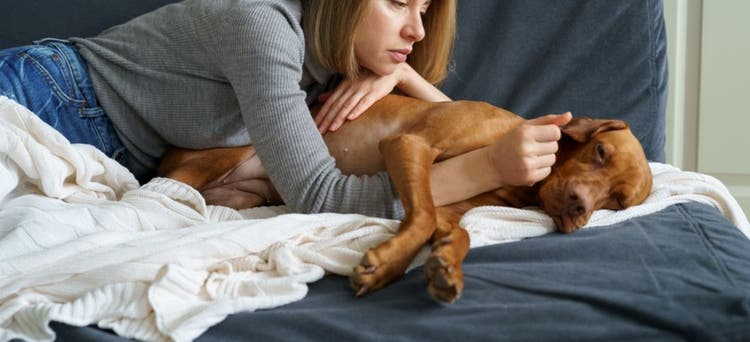 A dog suffering from acid reflux.