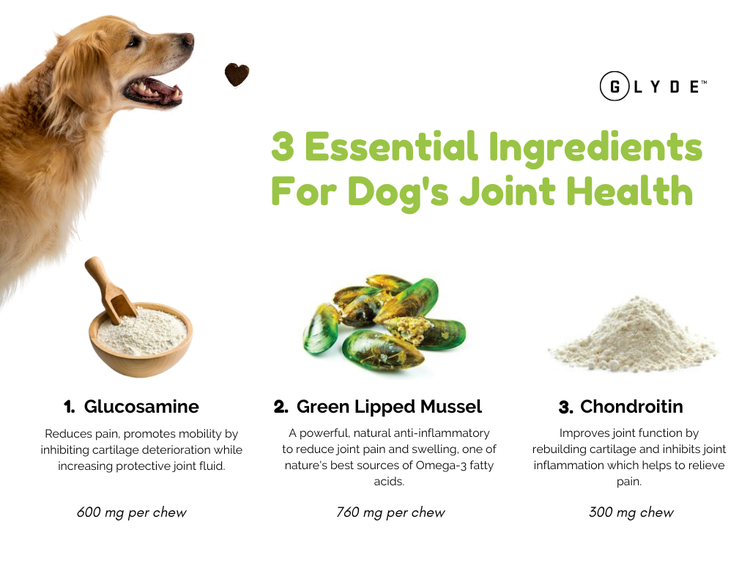 Best diet for store dogs with arthritis