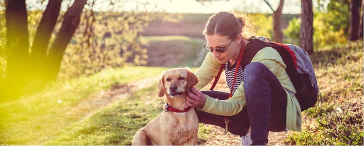 A woman checks her dog for ticks.