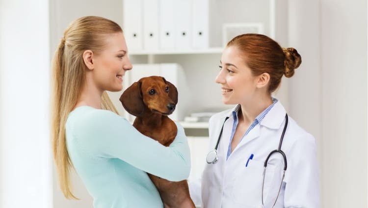 A woman consults her veterinarian while holding a Dachshund.