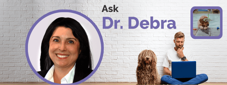 Is drinking pool water dangerous for your dog?