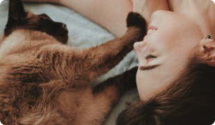 Metamucil dosage for cats clearance