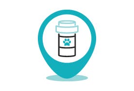 Metamucil and dogs hot sale