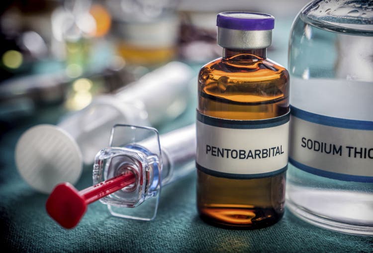 pentobarbital for dogs and cats