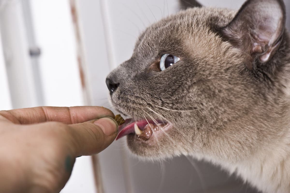 www.petplace.com