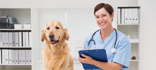 Ivermectin for hot sale dogs fleas