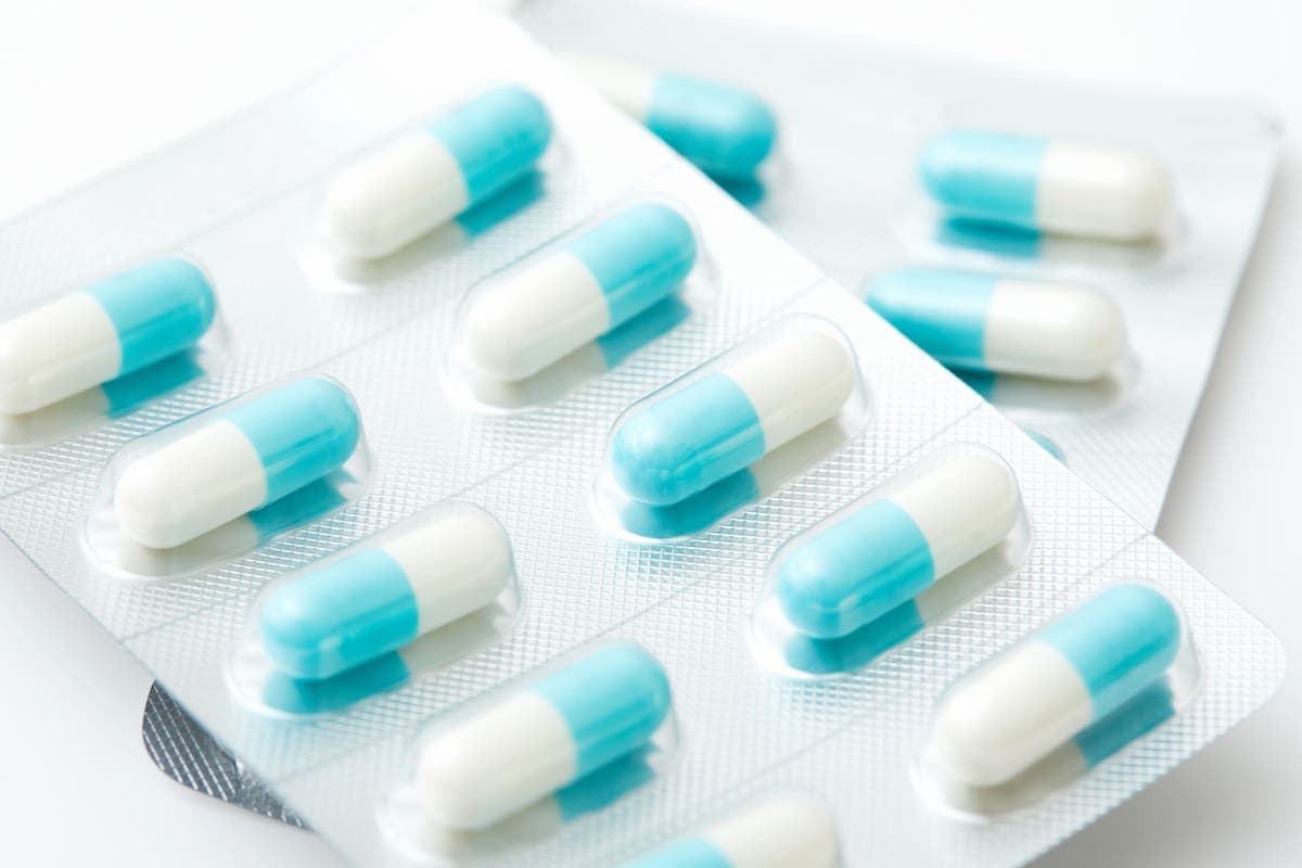 Ketoconazole pills for dogs clearance