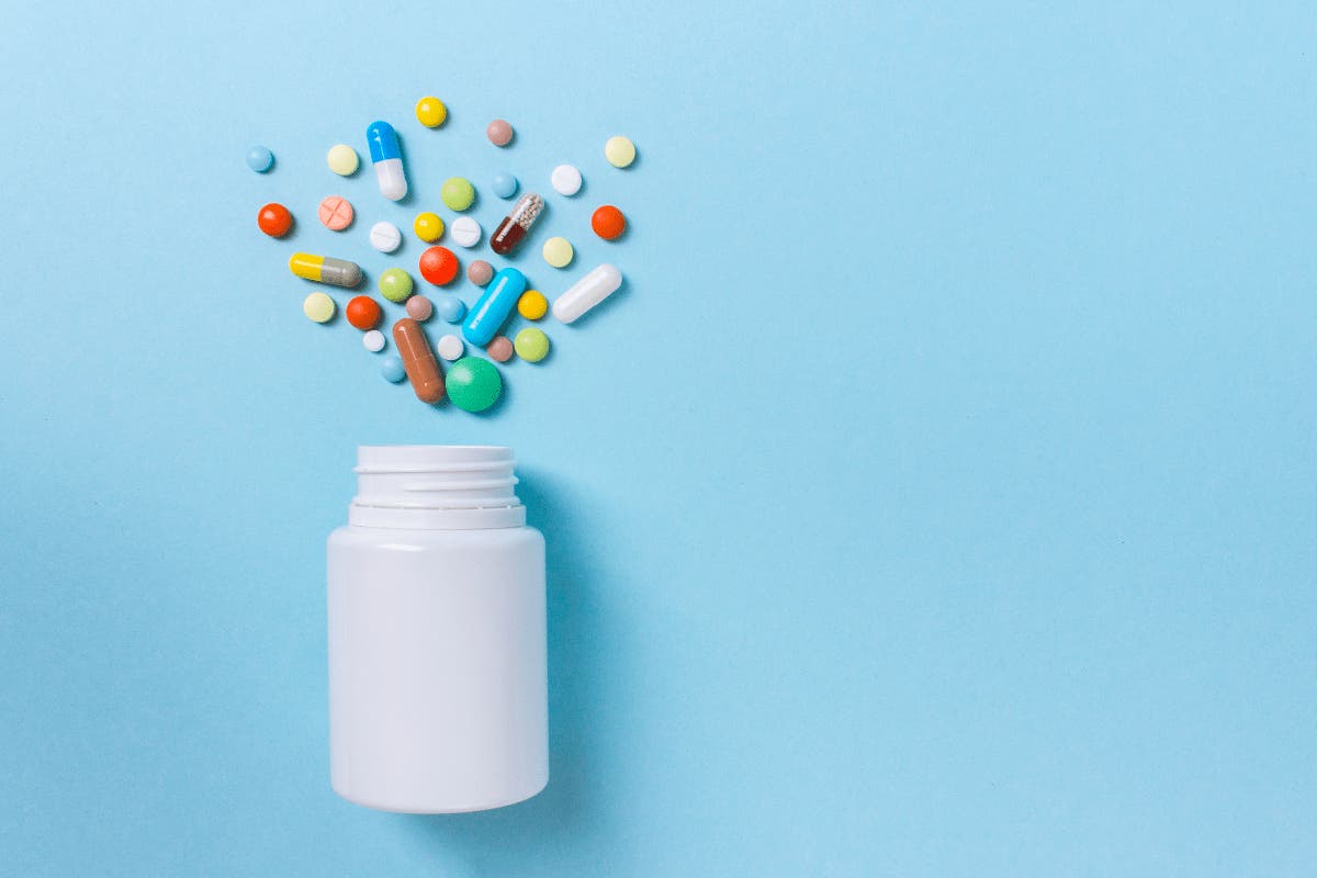Mirtazapine dogs discount