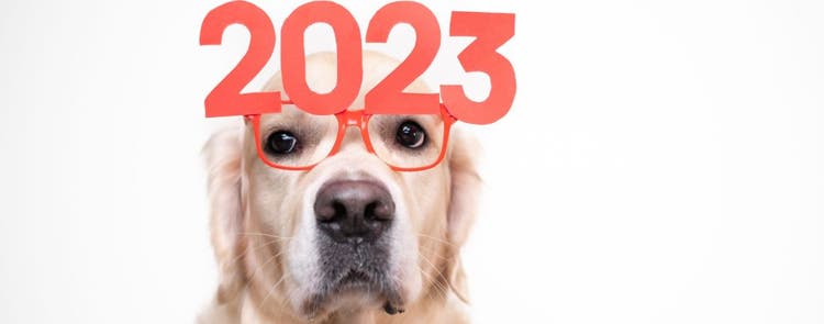 New Year's Resolutions from Your Pet