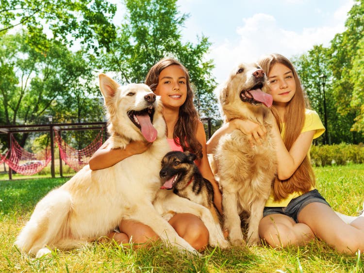 A group of girls with dogs Description automatically generated