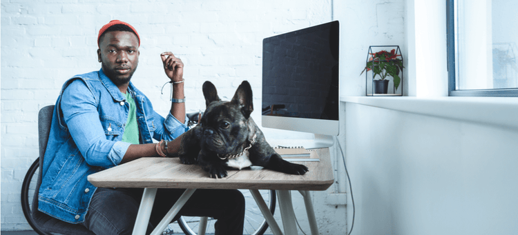 Should dogs be allowed at the office?