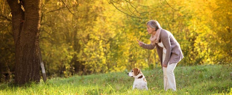 Dog and his Mom play at the park.