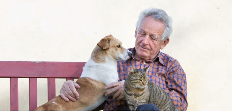 A senior citizen plays with his therapy animals.