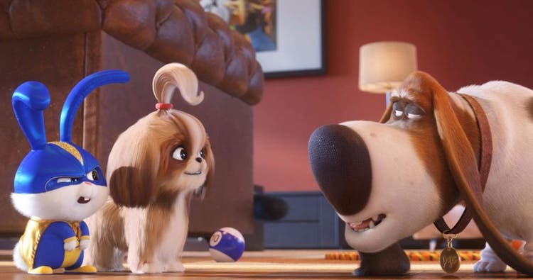 Snowball, Daisy, and Pops from The Secret Life of Pets 2