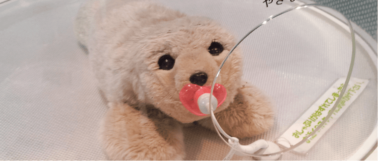 A robotic therapy seal.
