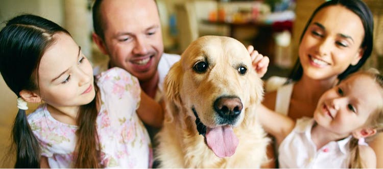 A Golden Retriever with its family, two children and their parents.