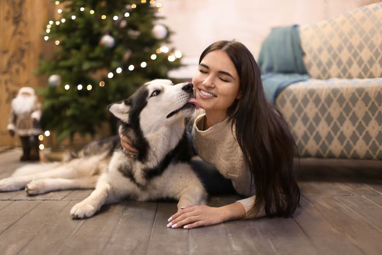 holiday dog adoption