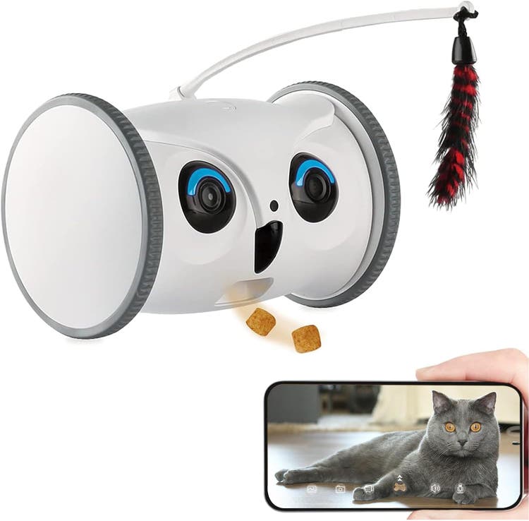 A white robot with a cat toy AI-generated content may be incorrect.