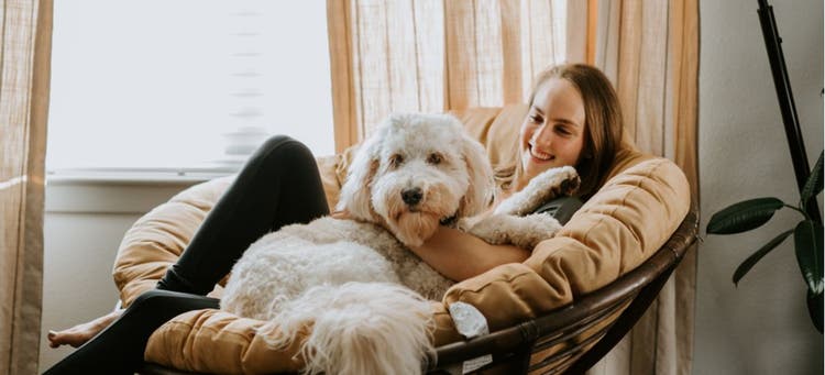 A TrustedHousesitter hanging out with a pet.