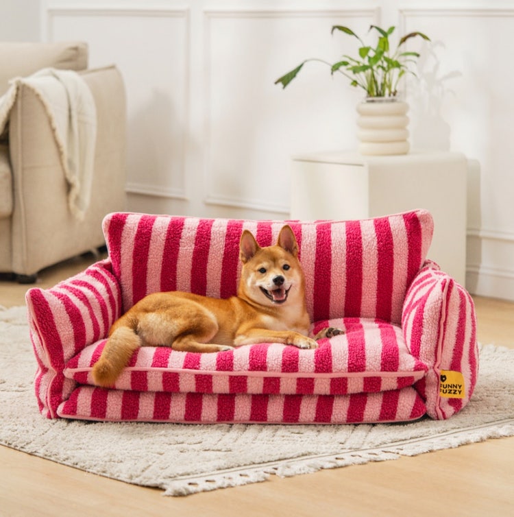 A dog lying on a pink and white striped couch Description automatically generated