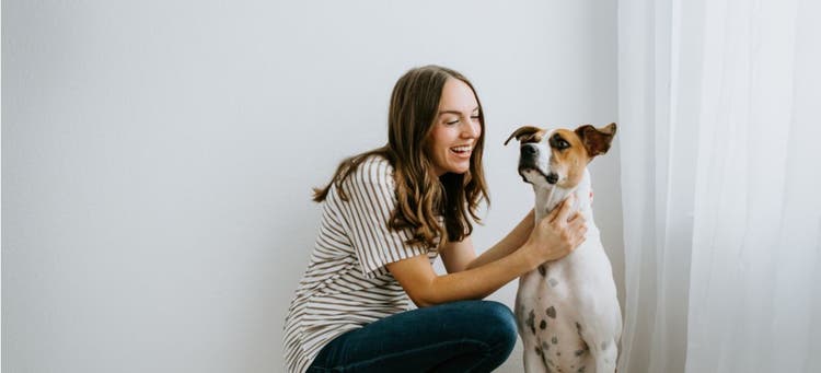 A pet sitter plays with a happy dog.