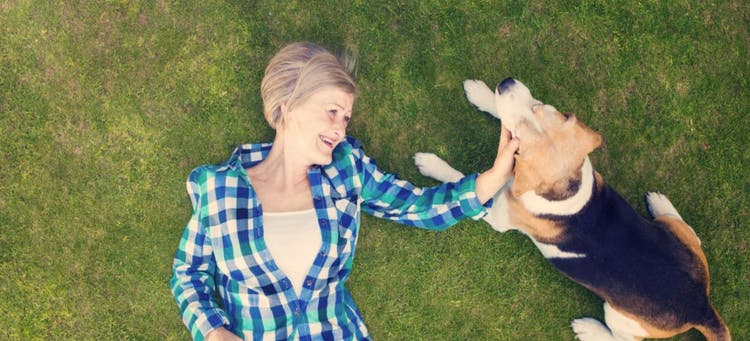 Owner taking care of her dog with an estate plan.