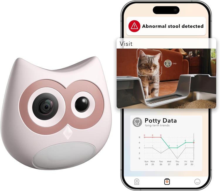 A smart phone and a device AI-generated content may be incorrect.