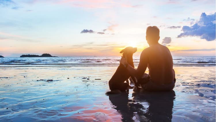 Man and his dog watch the sunset.