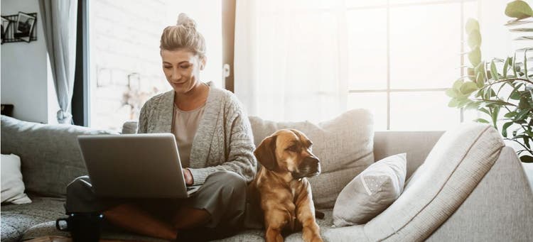 A TrustedHousesitter working next to a pet.