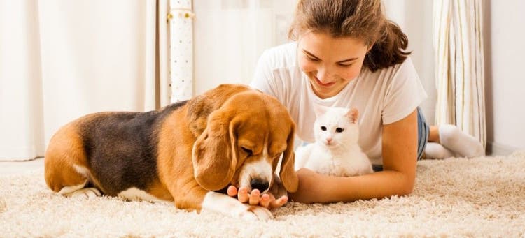 The Roborock S7 Max Ultra is perfect for high-traffic homes with pets and children.