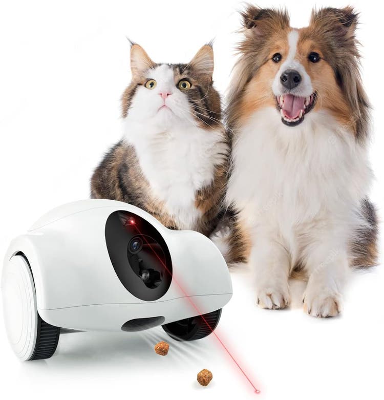 A cat and dog looking at a laser beam AI-generated content may be incorrect.
