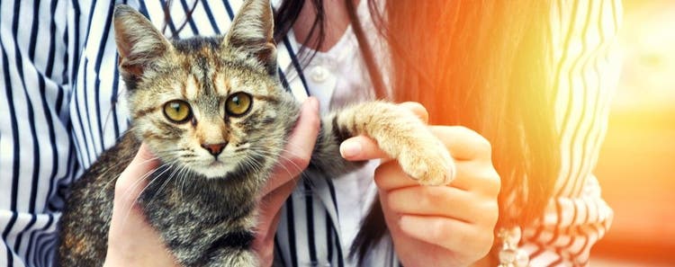 A young woman holds the cat she just adopted.