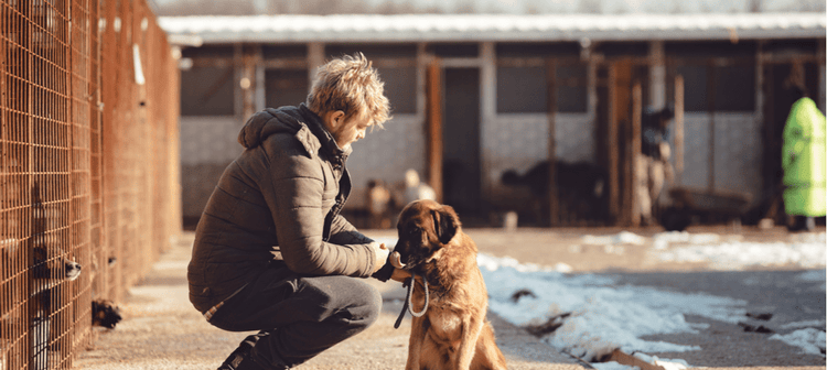 A man adopts a dog from a shelter.