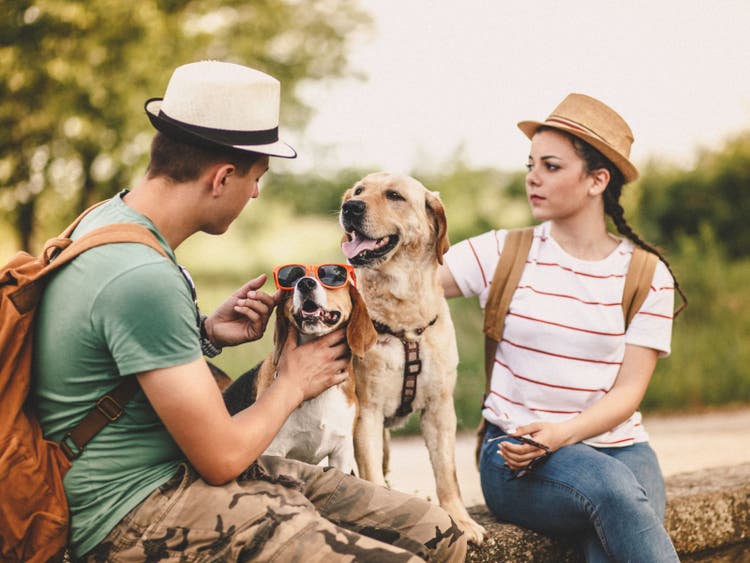 A person and person with dogs Description automatically generated