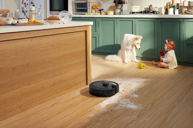 A dog looking at a robot vacuum Description automatically generated