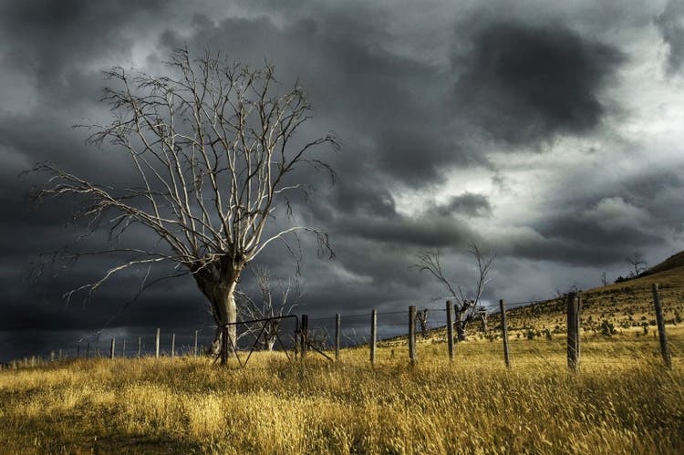 Storm