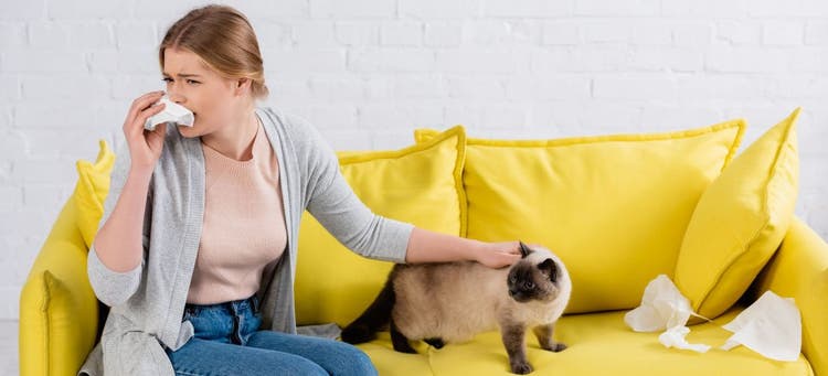 How to handle being allergic to pets when visiting a friend.