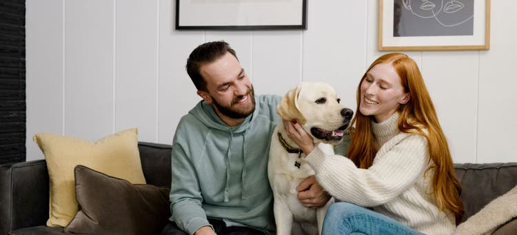 These pet owners got DNA testing done to benefit their pet's wellness care.