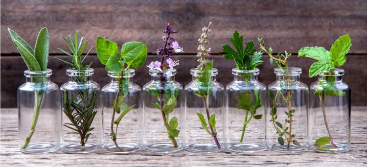 The ingredients that make essential oils.