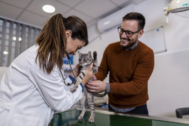 Kitten's First Vet Visit/Puppy's First Vet Visit Checklist | PetPlace.com