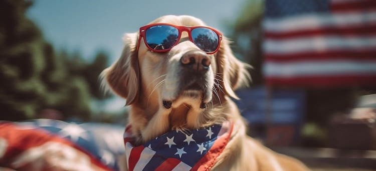 Pet safety tips for the summer.