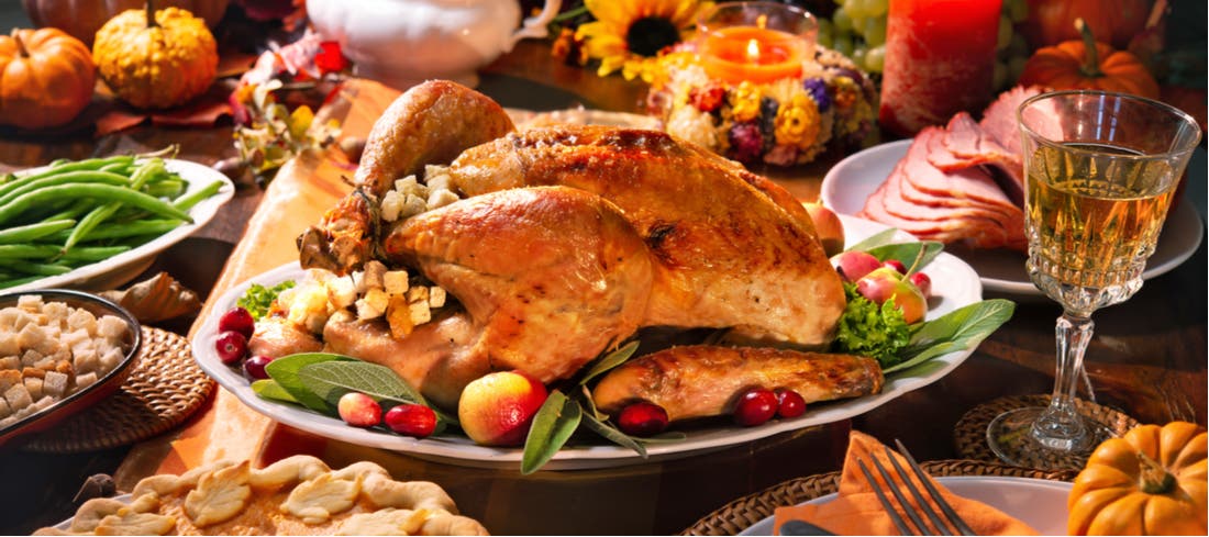 Can Dogs and Cats Eat Turkey PetPlace