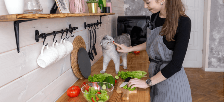 A woman prepares a home-cooked meal for her cat.