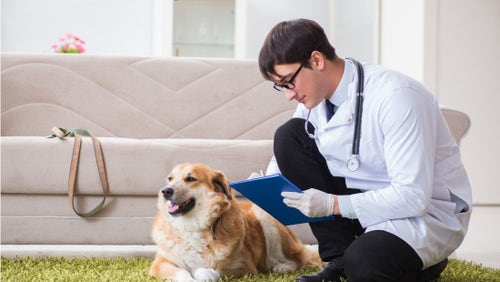Pet house best sale calls near me