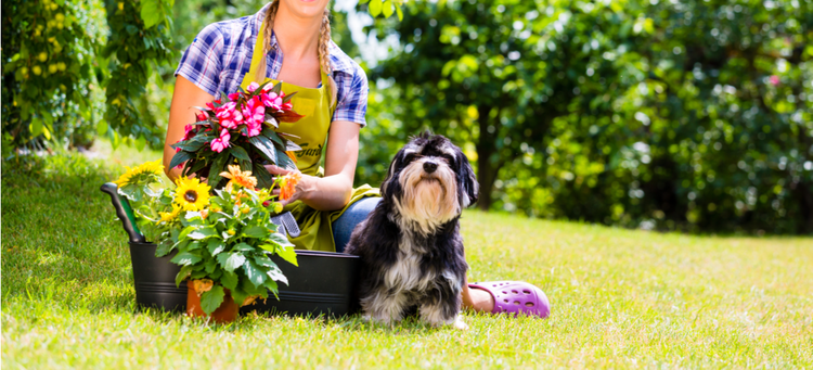 A woman and her dog prepare to plant a pet-safe garden.