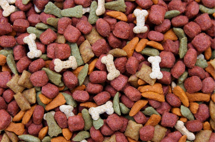 A serving of a dog food.