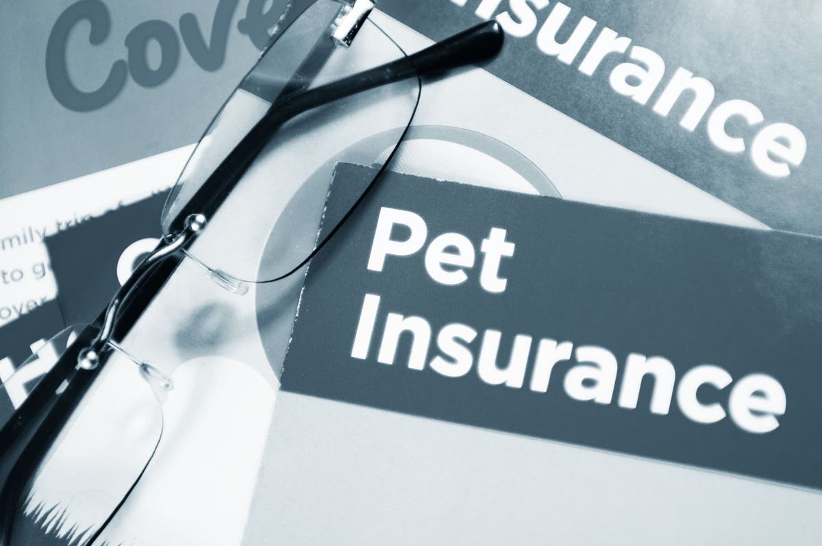 What’s the Best Pet Insurance in Regards to Cost?