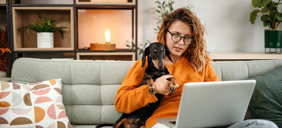 Is Figo Pet Insurance Good Reddit